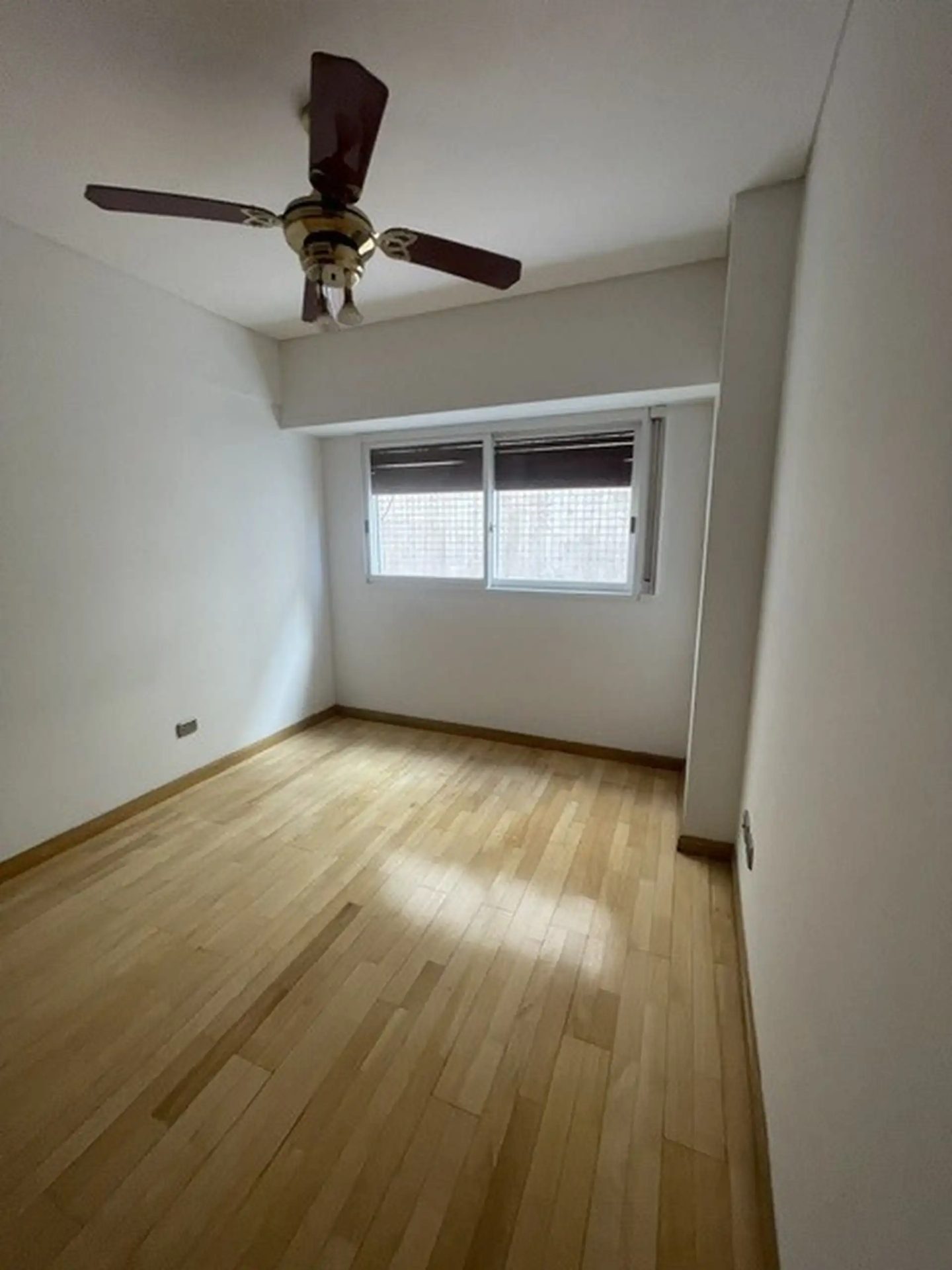 Imagen 11