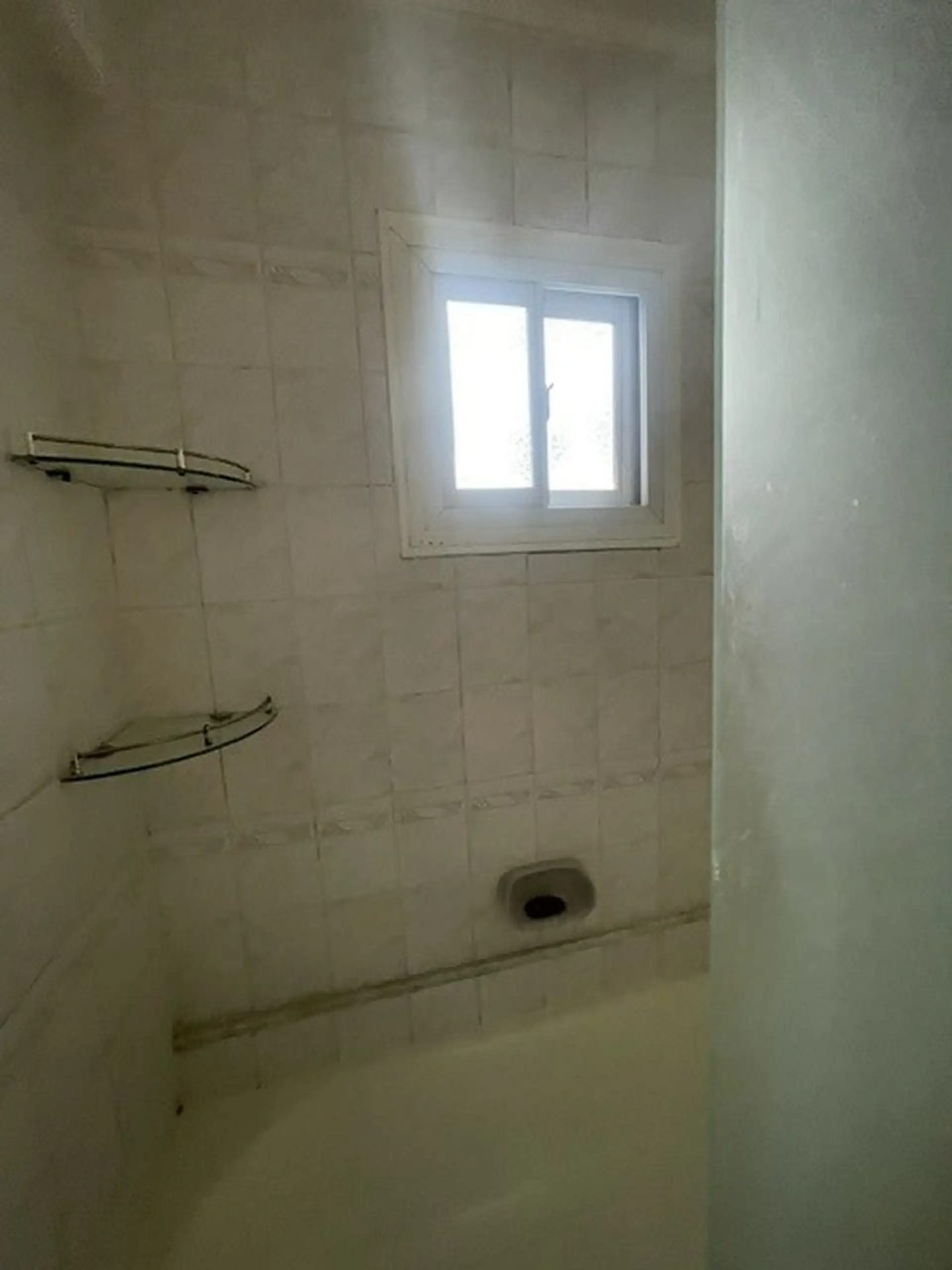 Imagen 12