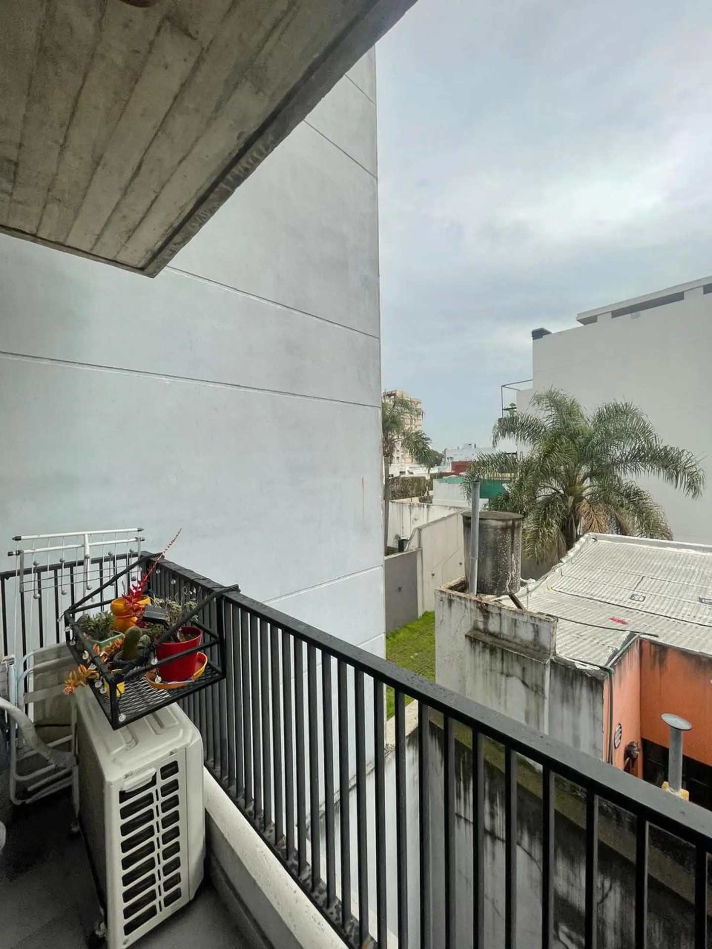 Imagen 12